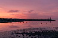 Grevelingenbeach in the evening sun by Alice Berkien-van Mil thumbnail