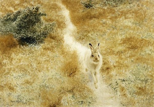 Bruno Andreas Liljefors,Een winterhaas in een landschap