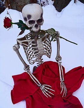 Ewige Liebe Skelett mit roter Rose in weißem Schnee