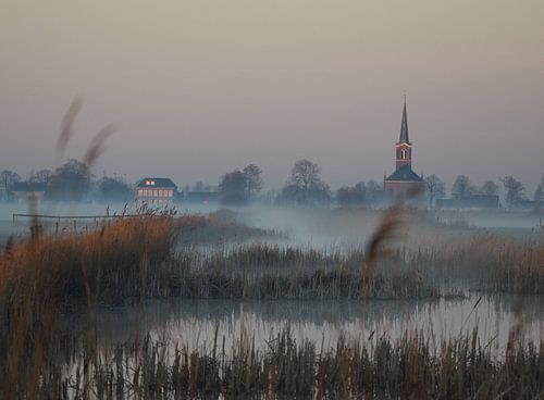 Mistige zonsopkomst