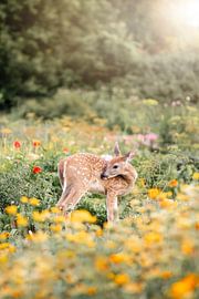 Young Deer in Summer Velvet - Bambi - flowers by Femke Ketelaar