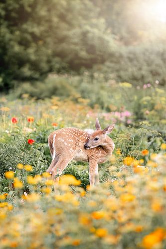 Jong Hert in Zomerweelde Bambi bloemen