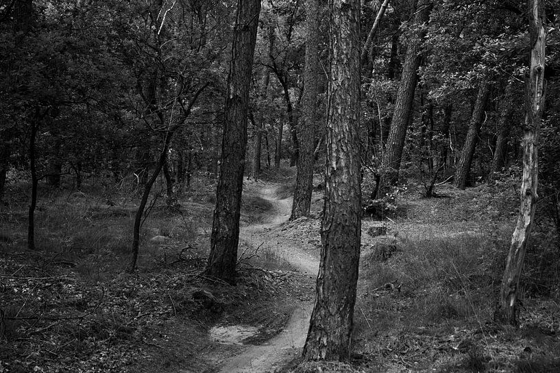 Lebensweg von Lisa Sol