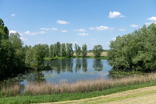 Buitenwiel vijver Wamel