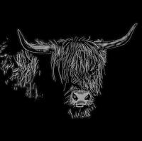 Highlander