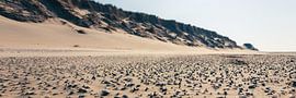 Dune Echoes: Sea-Carried Shells on De Slufter Sands by AVP Stock
