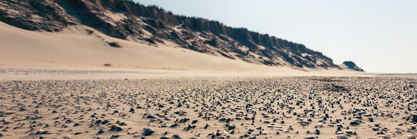 Échos des dunes : Coquillages marins sur les sables de Slufter par AVP Stock