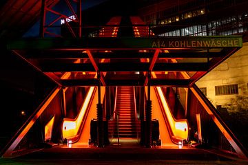 Hoog vliegen van Jenny Kambeck