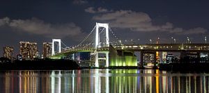 Tokio Rainbow brug over de baai in Tokio van Marcel van den Bos