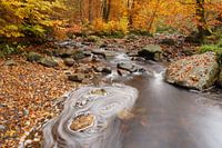 Herfstbeek