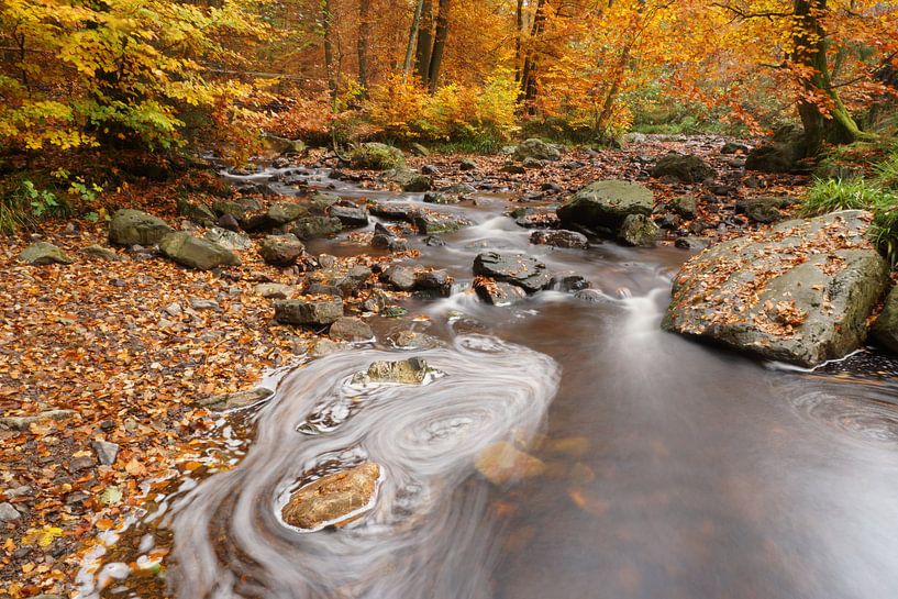 Herfstbeek van Bas Oosterom