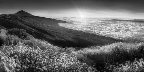 Landschap boven de wolken van Tenerife in zwart-wit