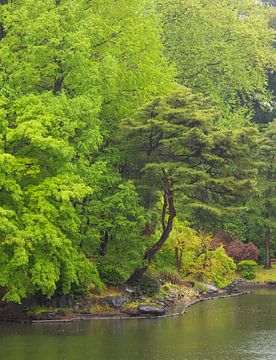 Jardin national de Shinjuku Gyoen (Japon) sur Marcel Kerdijk