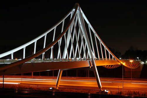 Fietsbrug Zoetermeer 1