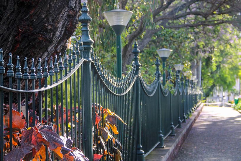 Pracht en Praal van het Park van Foto Moments by M. J. Leenders