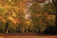 Herbstliche Farben