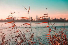 Winterglow Rotterdam 1 sur Nuance Beeld