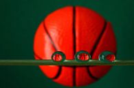 Play the game, basketbal in waterdruppels van Inge van den Brande thumbnail
