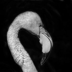 Flamingo schwarz und weiß von Angela Wouters