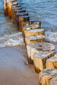 Buhnen in der Brandung am Strand von Zingst