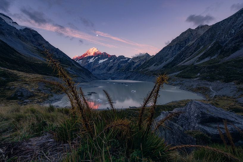 Hooker Lake und Aoraki/Mt. Cook in Neuseeland von Niko Kersting
