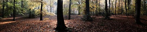 Herfst