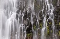 Een waterval in de bergen van Madeira par Paul Wendels Aperçu