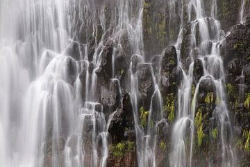 Een waterval in de bergen van Madeira van Paul Wendels