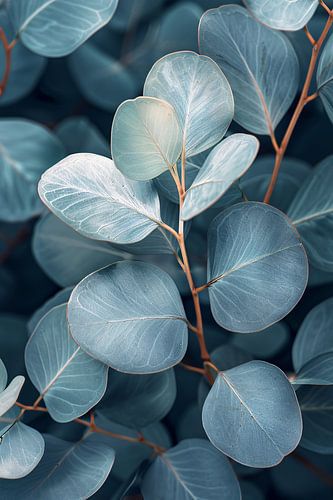 Elegante eucalyptusbladeren in zilveren en blauwe tinten