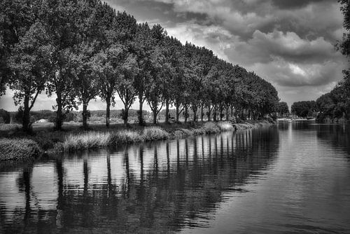 Reflecties bomen in zwart wit