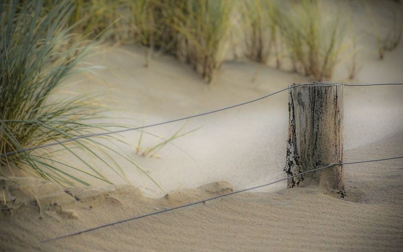 Strandleven by Dirk van Egmond