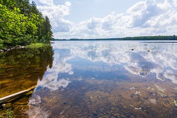 Schöne Spiegelung am Wasser von Caroline Pleysier