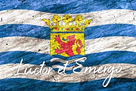 Luctor et Emergo von Sharon Harthoorn