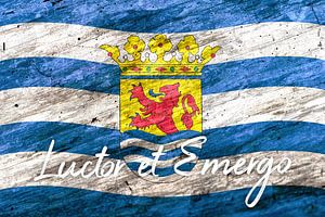 Luctor et Emergo