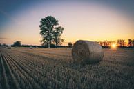 Hay bales in the sunset by Skyze Photography by André Stein thumbnail