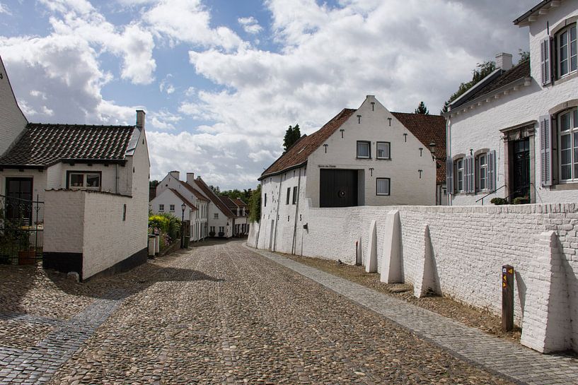 Witte stad Thorn von Charlene van Koesveld