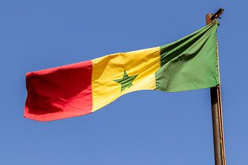 Nationale vlag Senegal van Fun Stocker