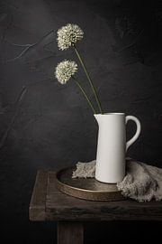 Elegant in white by Mayra Fotografie