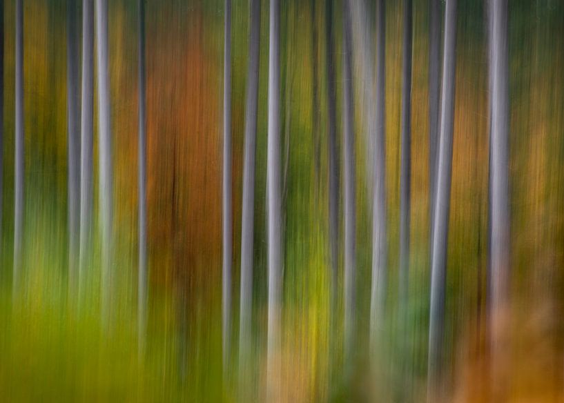 Autumnvibes by Christl Deckx
