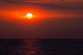 Soirée rouge, coucher de soleil sur la mer. sur Joes van Asten