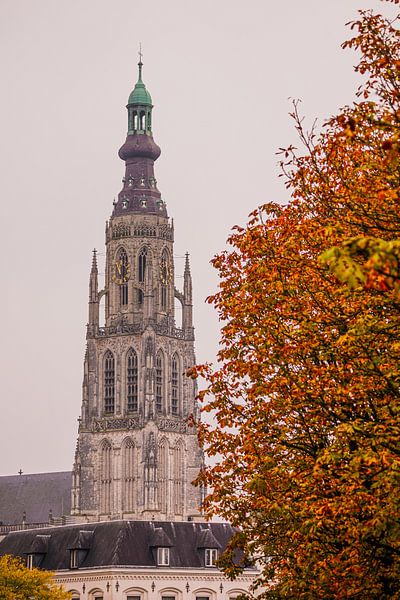 Grote Kerk Breda by I Love Breda