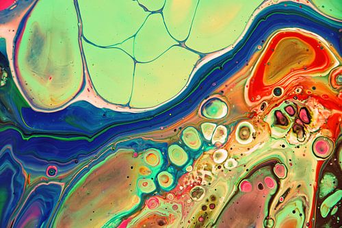 Struktur der Farbzellen von Joke Gorter