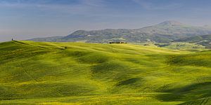 Paysage de la Toscane