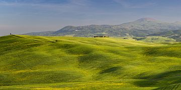 Tuscany Landscape by Walter G. Allgöwer