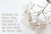 Inspirerende tekst over vriendschap
