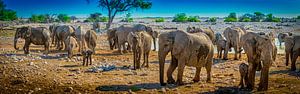Panorama einer Herde von Elefanten in Etosha National Park, Namibia