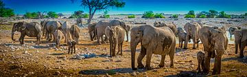 Panorama einer Herde von Elefanten in Etosha National Park, Namibia von Rietje Bulthuis
