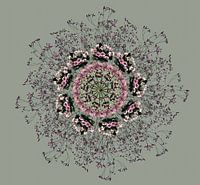 mandala rural
