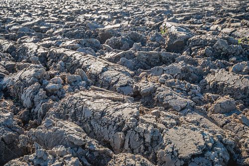Close-up van een geploegde akker, Goeree-Overflakkee