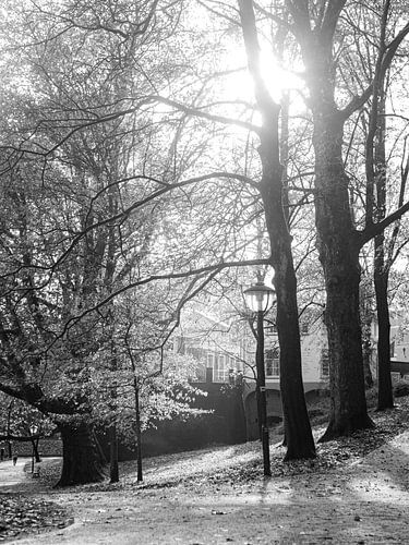 Zonnige Herfstochtend In Utrecht